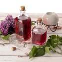 Butelka Szklana z Korkiem 270 ml Przezroczysta na Napoje Oliwę ORION