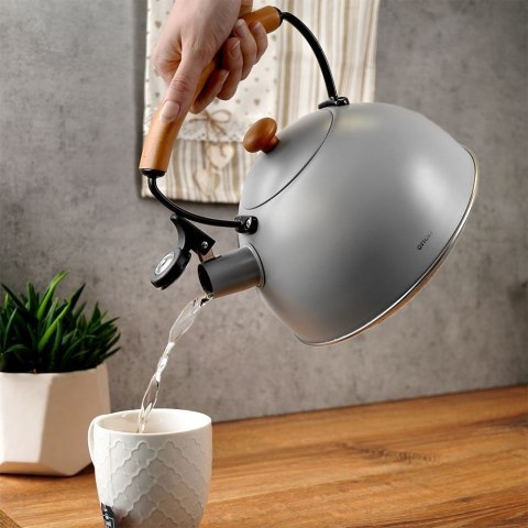 Czajnik z Gwizdkiem Stalowy Nierdzewny Szary Dekoracyjny ORION 2,9 L