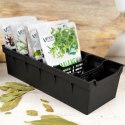 Organizer Pojemnik na Przyprawy z Przegródkami VILDE 30 x 13 cm
