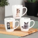 Kubki Ceramiczne Koty 220 ml 3 Szt. ORION do Zmywarki i Mikrofali